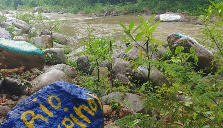 Image of the Guapinol river with a painted rock with the inscription 'Rio Guapinol'
