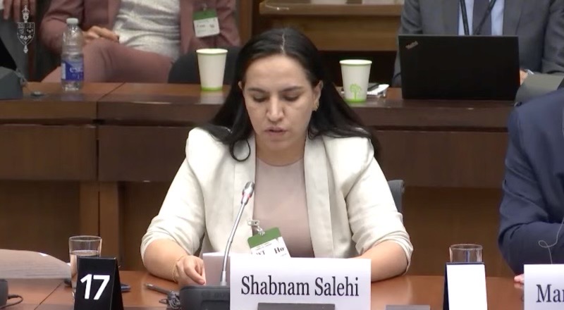April 2023: Shabnam Salehi testifies in Canada's Parliament in support of bill C-41, a legislation enabling humanitarian aid to Afghanistan. Shabnam placed emphasis on specific aid to prioritize women's empowerment and equal access (Photo: Shabnam Salehi)